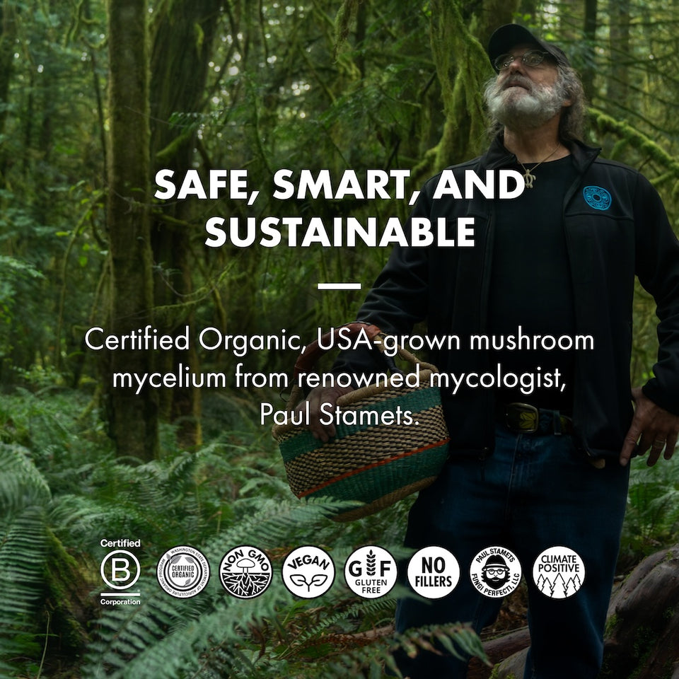 Lion's Mane Capsules