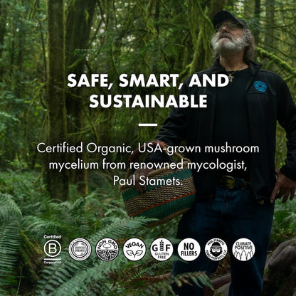 Lion's Mane Capsules